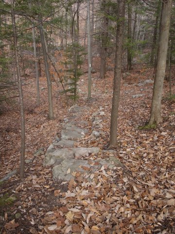 Stepping stones lead downhill, at Wawayanda State Park, NJ