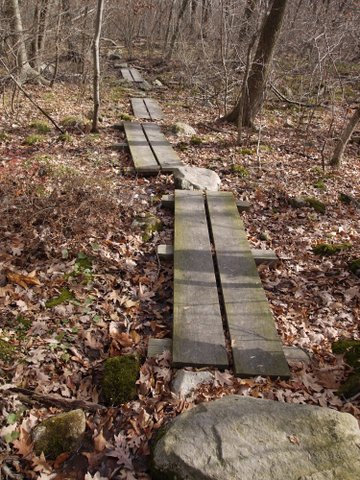 Puncheon on Appalachian Trail, Wawayanda State Park, NJ