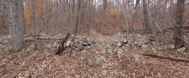 Appalachian Trail cuts through stone wall, Wawayanda State Park, NJ
