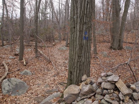 Cairn and side trail to Pinwheel Vista, Wawayanda Mountain, NJ