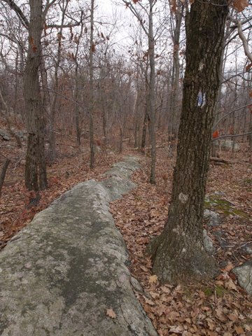 Bare rock, unmaintained trail to Old AT Vista, Wawayanda State Park, NJ