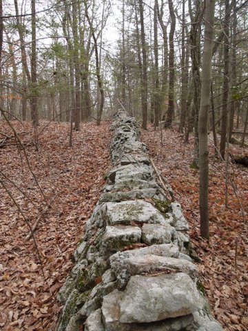 Stone wall along old path of Appalachian Trail, Wawayanda State Park, NJ