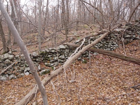 Stone wall along Old AT, Wawayanda State Park, NJ