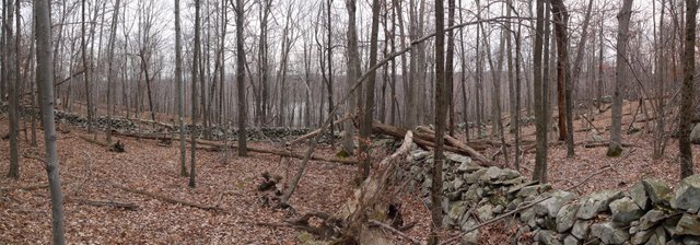 Stone Walls on North Side of Barry Lakes, Wawayanda State Park, NJ