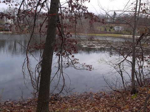 Barry Lakes, Wawayanda State Park, NJ
