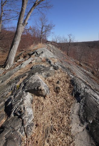 Bare rock on Camp Smith Trail, Hudson Highlands State Park, NY