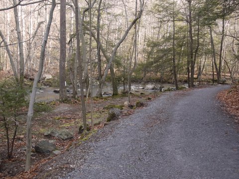 Trail beside Raritan River, Ken Lockwood Gorge, Hunterdon County, NJ