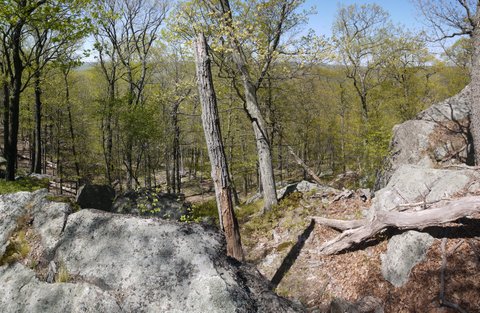 Appalachian Trail, Harriman State Park, NY