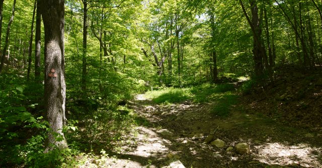 East Mountain Loop Trail, Fahnestock State Park, NY