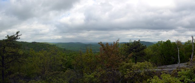 Scenic view, Blue Trail, Norvin Green State Forest, NJ