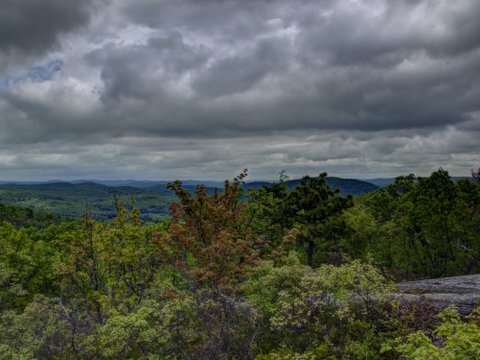 HDR of Scenic View, Norvin Green State Forest, NJ