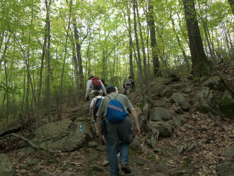 Hikers ascending blue trail, Norvin Green State Forest, NJ
