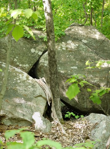 Rock formations, Red Trail, Ringwood State Park, NJ