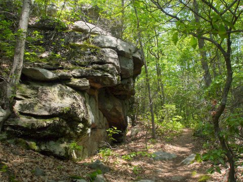 Rock wall on Ambler Trail, Devil's Den Preserve