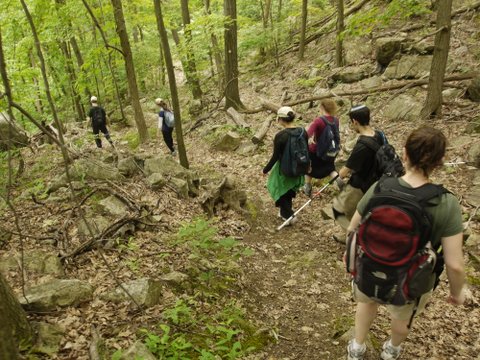 Hikers on Fishkill Ridge Trail