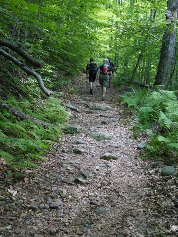Steep incline as hikers on the Long Path leave Peekamoose Road to begin the hike up Peekamoose Mountain