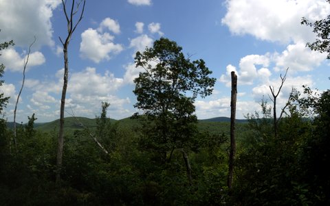 Scenic view, Macedonia Brook State Park, CT