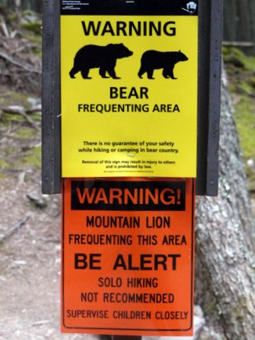 Bear and Mountain Lion Warning Sign, Avalanche Lake Trail, Glacier National Park, Montana