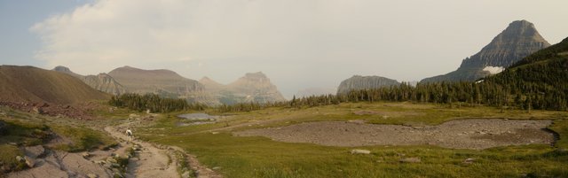 Hidden Lake Trail and Heavy Runner Mountain, Glacier National Park, Montana