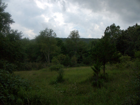 Southern view, Ward Pound Ridge Reservation, Westchester County, NY