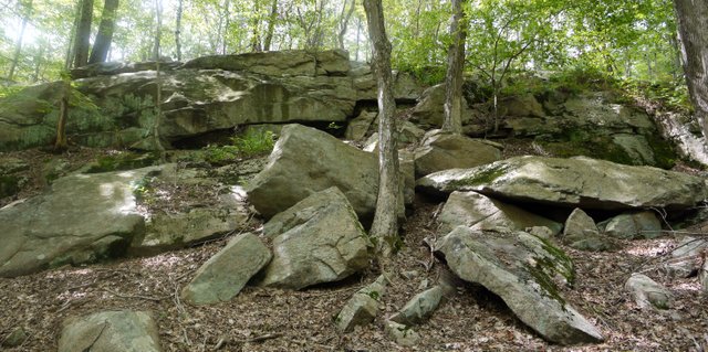 Rock wall, Ward Pound Ridge Reservation, Westchester County, NY