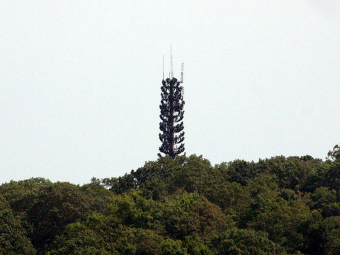 Antenna tower disguised as tree, Westchester County, NY