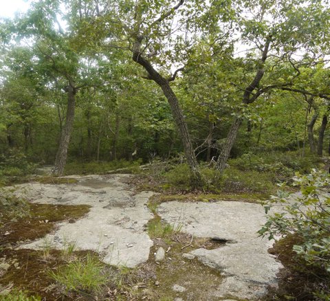 Bare rock at old fire tower site, Ward Pound Ridge Reservation, Westchester County, NY