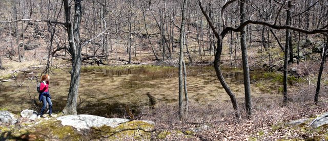 Pond on Camp Smith Trail, Hudson Highlands State Park, NY