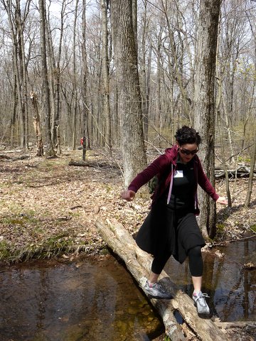 Crossing a Brook, Stokes State Forest, NJ