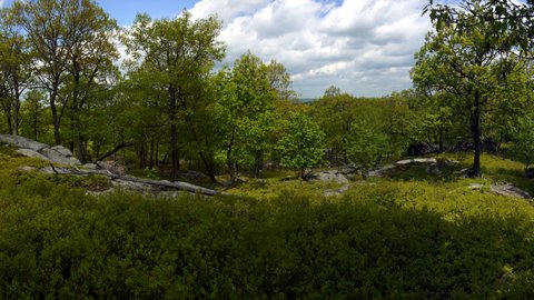 Seven Hills Trail, Harriman State Park, NY