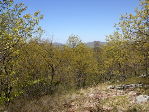 View from Denning Hill, Appalachian Trail, Putnam County, NY
