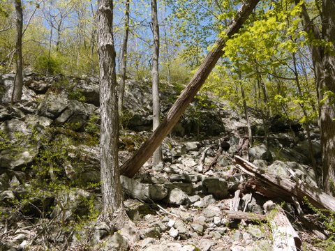 Hill, Appalachian Trail, Putnam County, NY