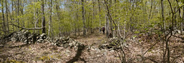 Rock wall, Appalachian Trail, Putnam County, NY
