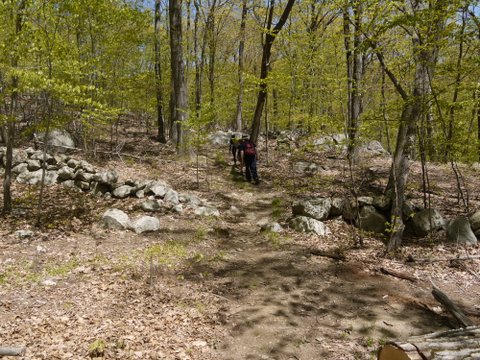 Rock wall, Appalachian Trail, Putnam County, NY