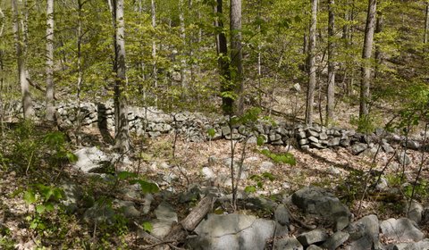 Stone Walls, Appalachian Trail, Putnam County, NY