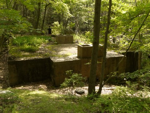 Abandoned septic tank, Harriman State Park, Rockland County, NY