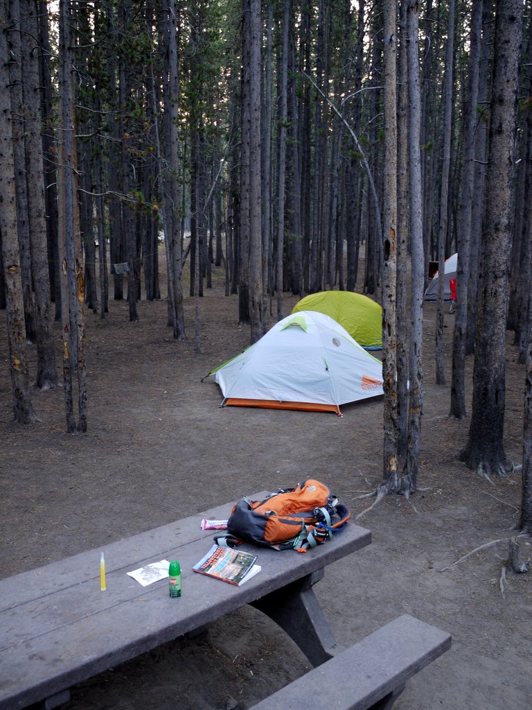 Campsite, Canyon Campground, Yellowstone National Park, Wyoming