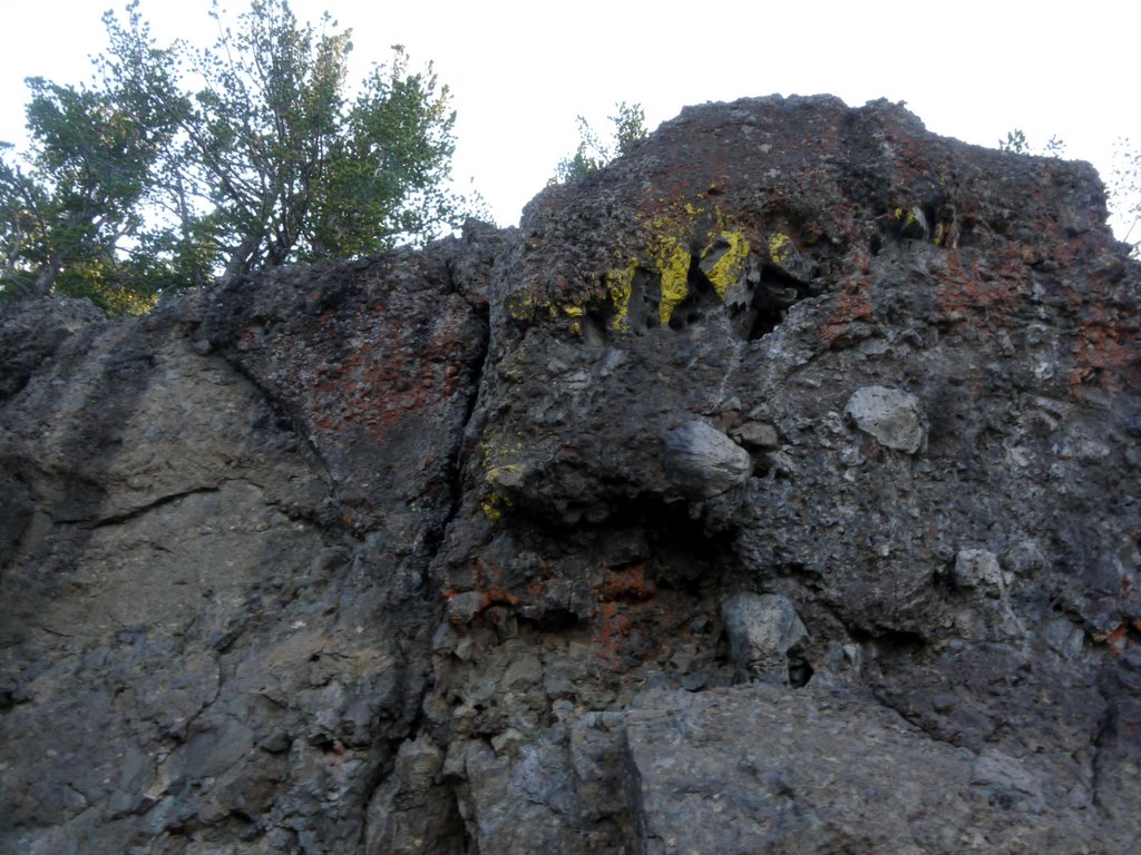 Rock with yellow and red lichen, Mt. Washburn, Yellowstone National Park, Wyoming