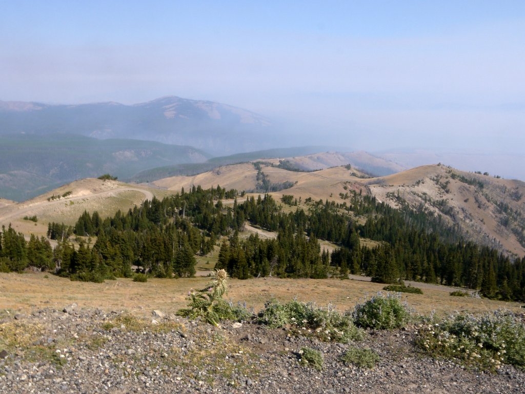 View from Mt. Washburn, Yellowstone National Park, Wyoming