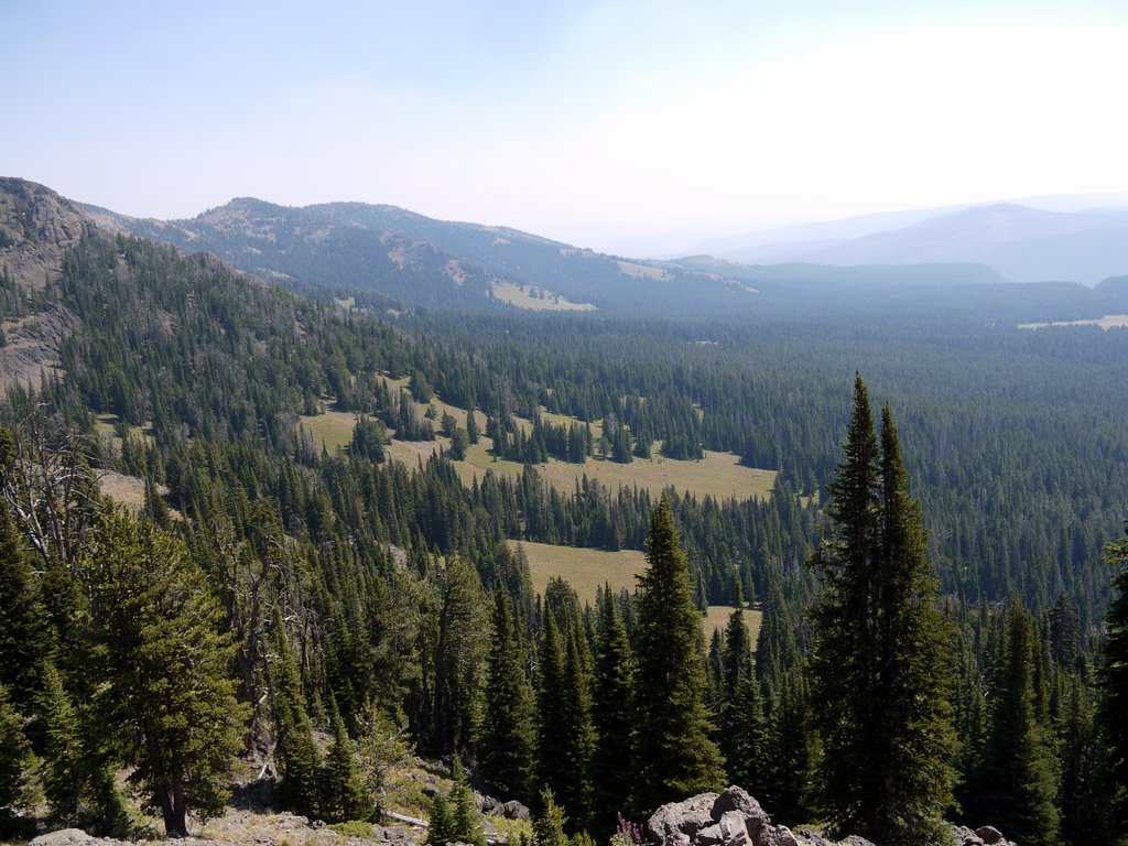View from Mt. Washburn, Yellowstone National Park, Wyoming