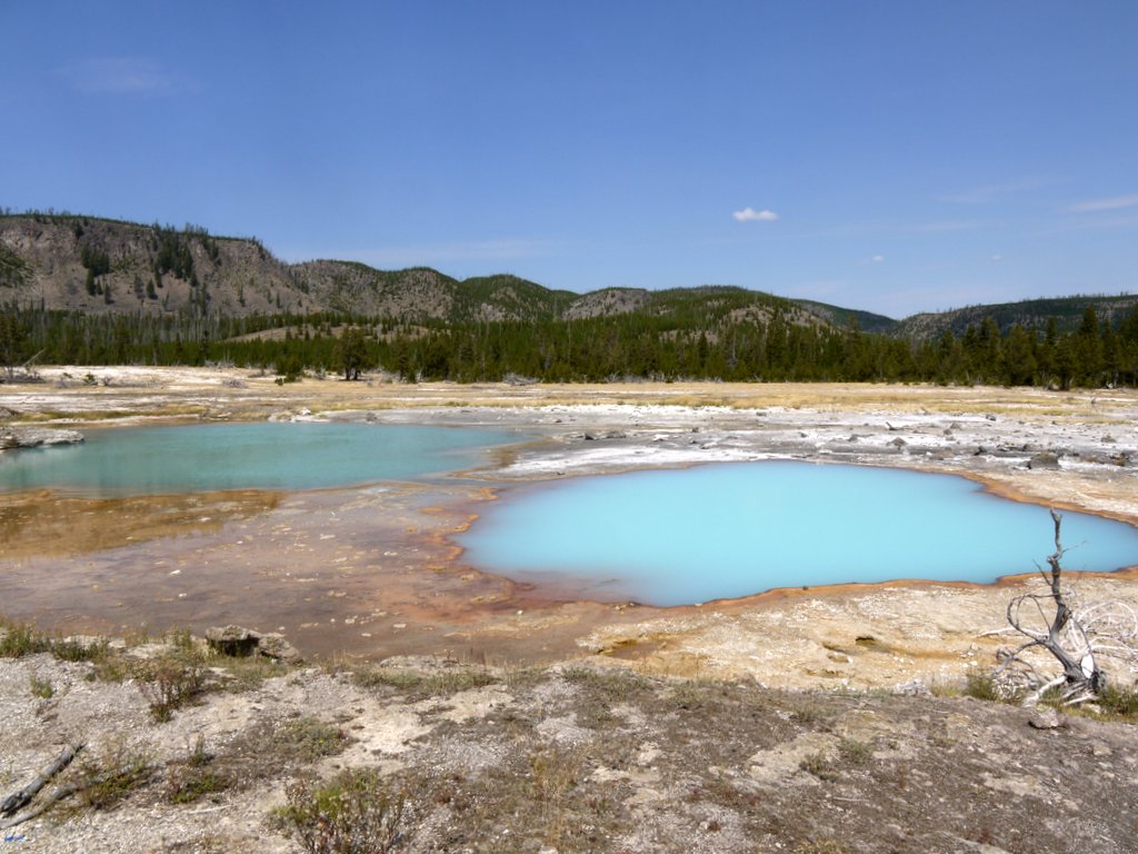 Black Diamond and Opal Pools, Biscuit Basin, Yellowstone National Park, Wyoming