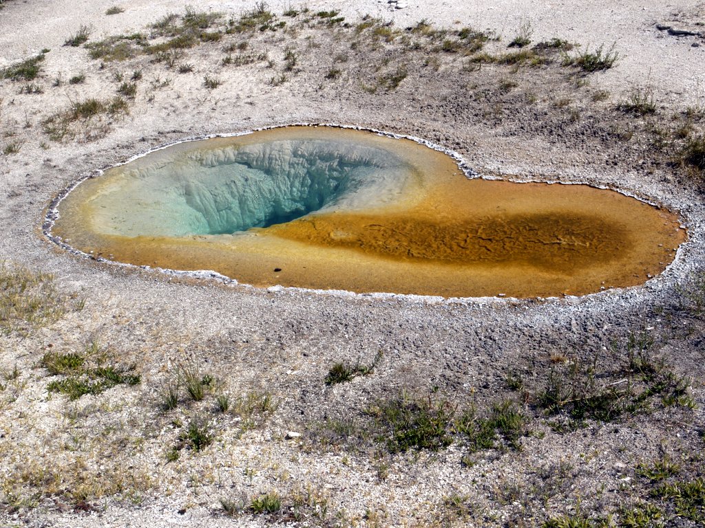 Belgian Pool, Upper Geyser Basin, Yellowstone National Park, Wyoming