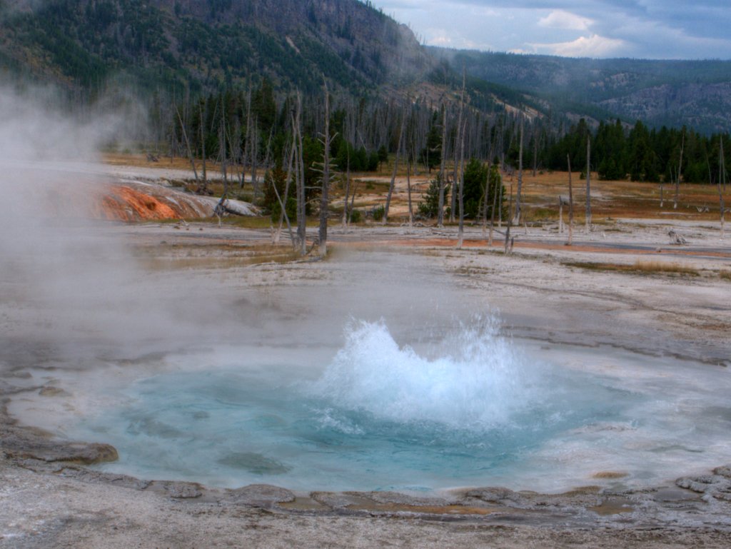 Spouter Geyser, Black Sand Basin, Yellowstone National Park, Wyoming