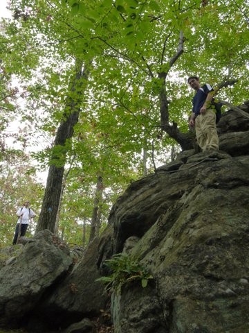 Descent past rocks on Hewitt Butler trail, Norvin Green State Forest, NJ