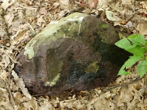 Colorful rock, Norvin Green State Forest, NJ
