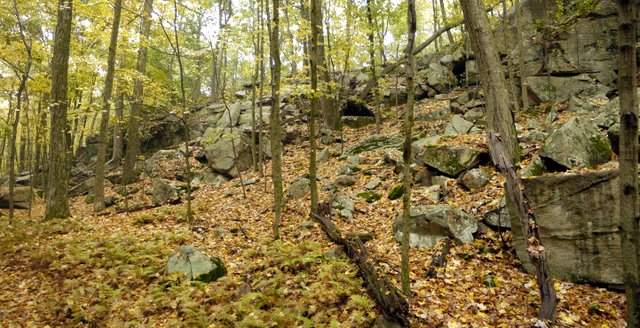 Rocks beside the trail, Ward Pound Ridge Reservation, NY