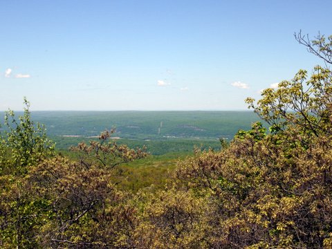 Eastern View from the Monument Trail, High Point State Park, Sussex County, New Jersey