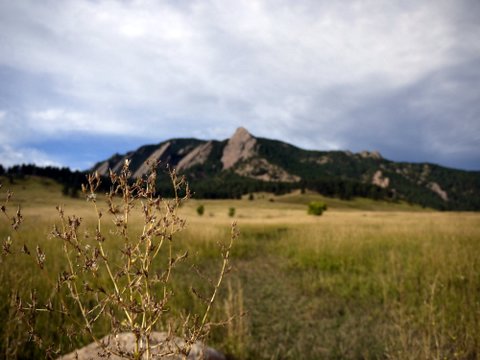 Flatirons across the meadow, Boulder Mountain Park, Boulder, Colorado