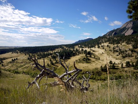 View from N.C.A.R. trail, National Center for Atmospheric Research, Boulder, Colorado