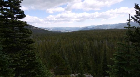 Forest and mountains, Rocky Mountain National Park, Colorado